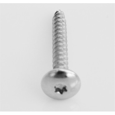 Vis penture argent