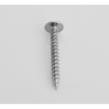 Vis penture argent