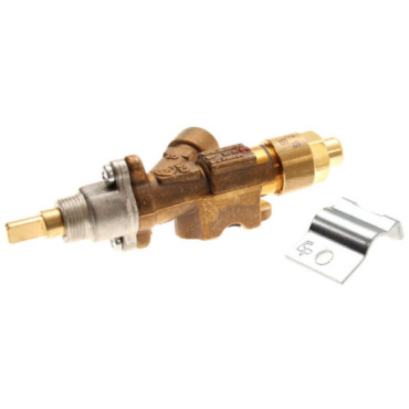 Kit robinet de commande de plaque standard Thetford SSPA0430