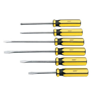 Lot de 6 tournevis DT-008