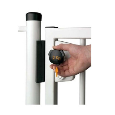 Serrure de portillon LOGINOX