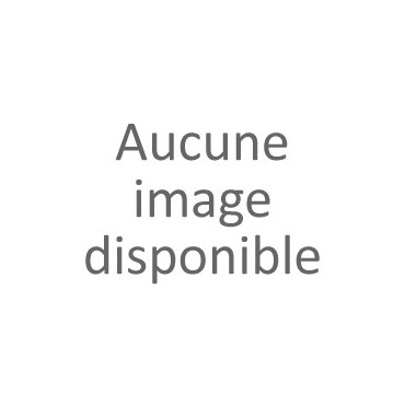 Porte de four Thetford Spinflo Enigma noire SMAO3530.BK99X
